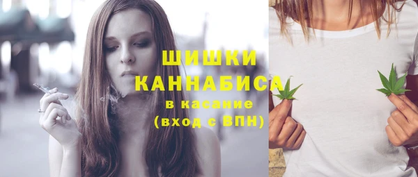 эйфоретик Вяземский