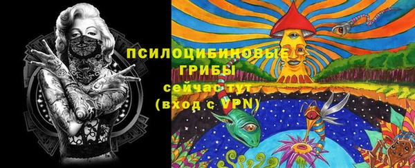 эйфоретик Тында