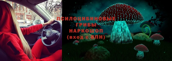 Альфа ПВП Володарск