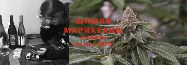 ГАЛЛЮЦИНОГЕННЫЕ ГРИБЫ Вязьма