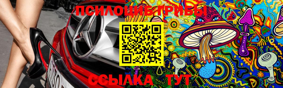 Галлюциногенные грибы MAGIC MUSHROOMS  Галлюциногенные грибы Magic Shrooms  Снежинск  купить  сайты  Вход с VPN 