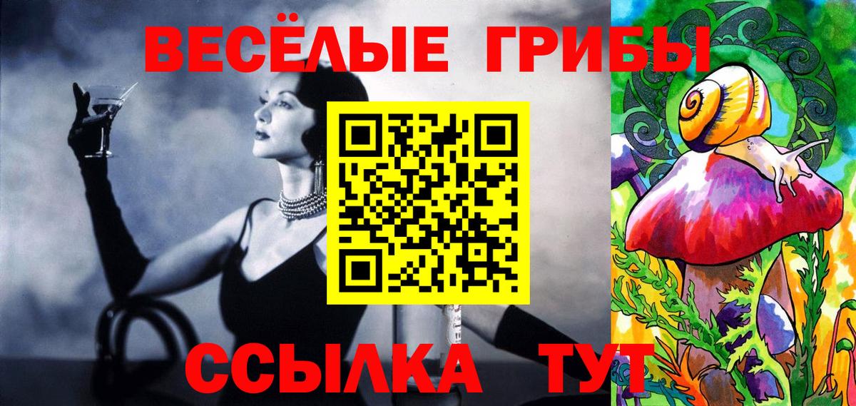 Псилоцибиновые грибы Psilocybine cubensis Снежинск