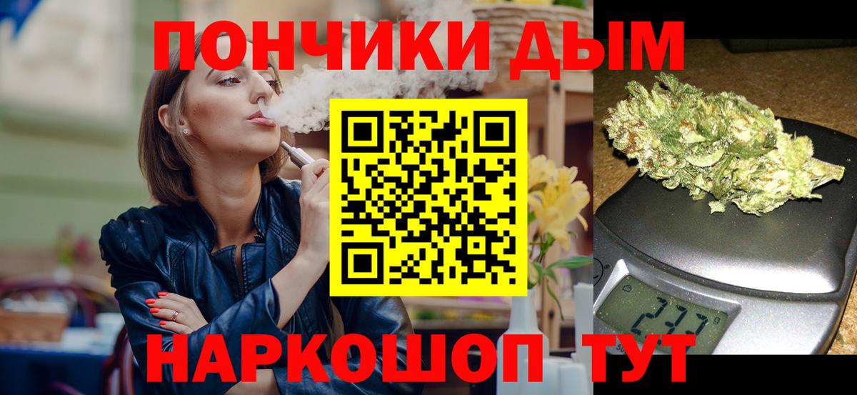 Шишки марихуана марихуана Снежинск